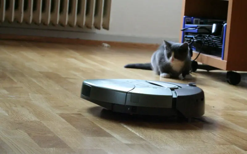 Pets love robot vacuums too