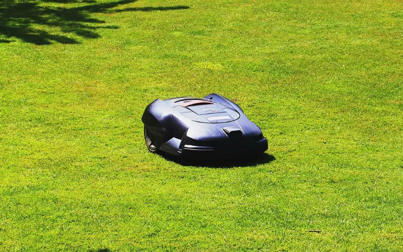 Robot lawn mower cutting the grass