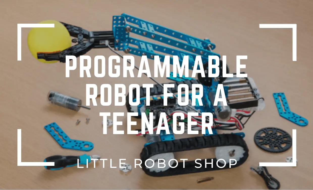 programmable_robot_for_teenager