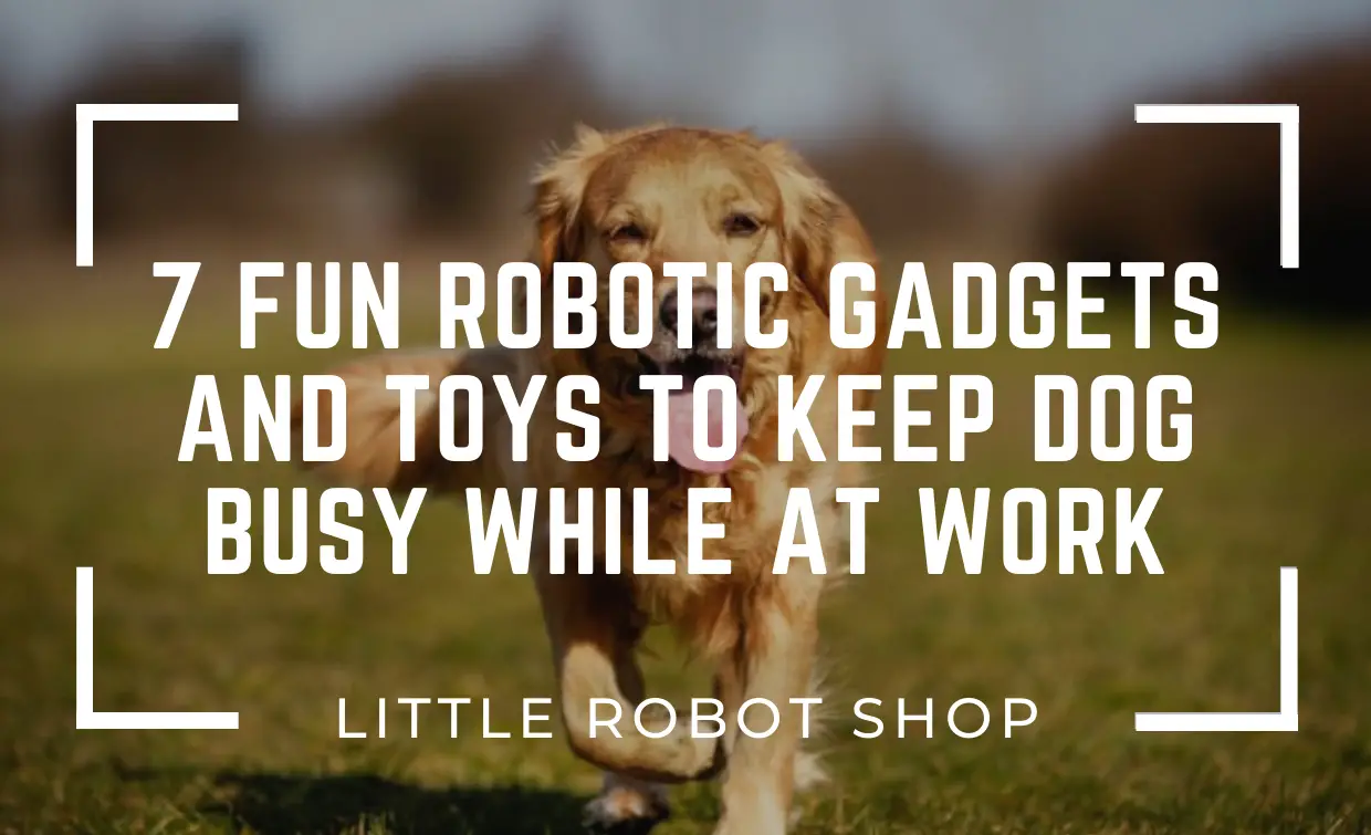 Fun Robotic Gadgets and Toys to Keep Dog Busy While at Work