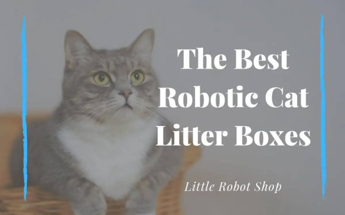 little robot cat litter box