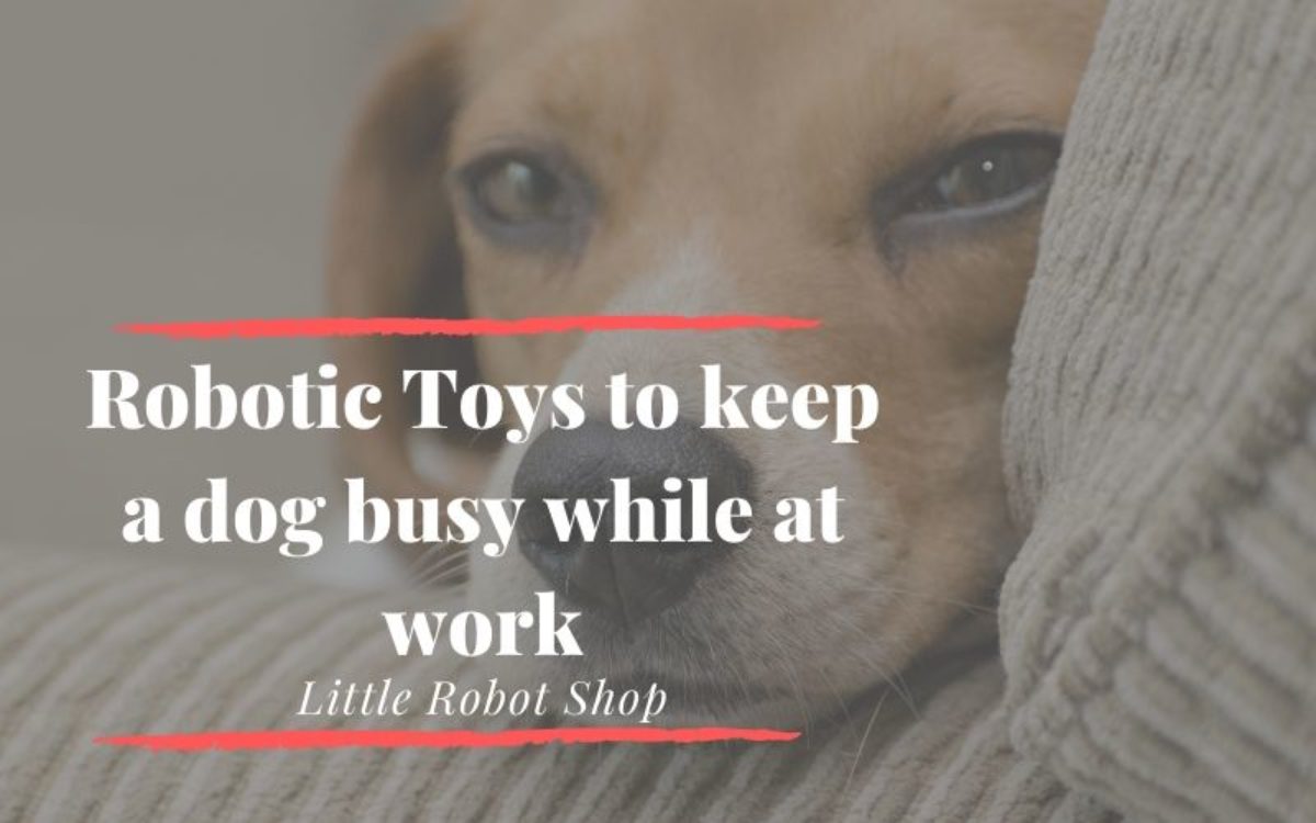 robotic dog treat dispenser