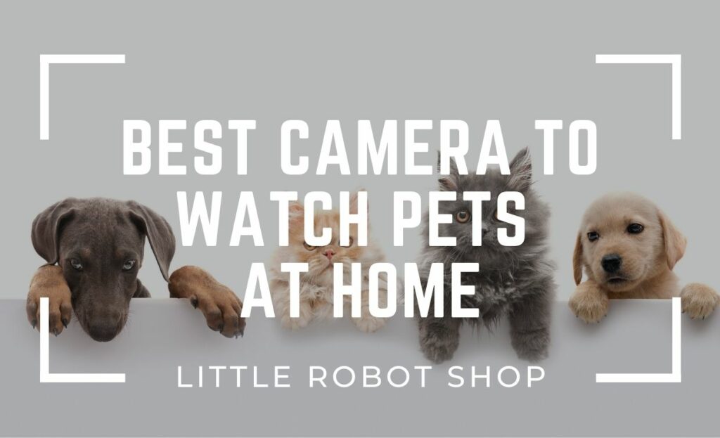 Best Camera to Watch Pets at Home
