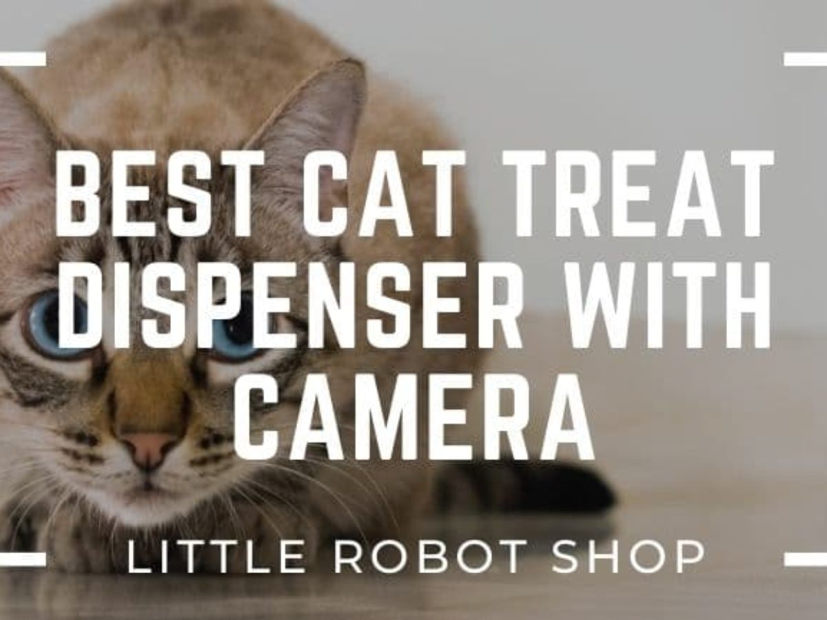 treat camera for cats