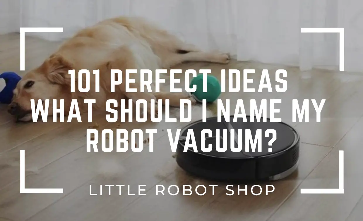 101 Perfet Ideas What Should I Name My Robot Vacuum