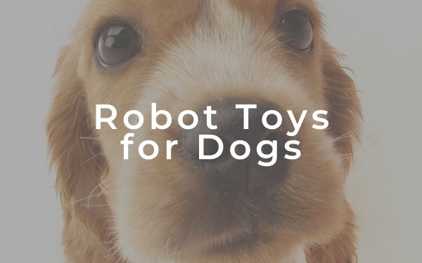 Robot toys for Dogs