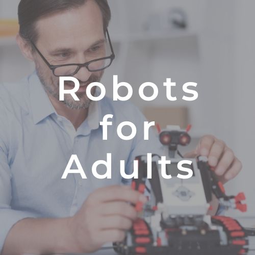 Whether cool gadgets to play with or robot building projects, we have some cool items.