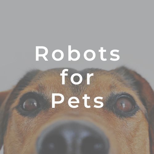Robots for pets, they are a thing. Enjoy your pet when you are out of the house.