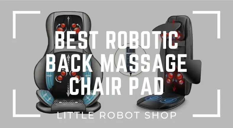looking for the back massage chair pad