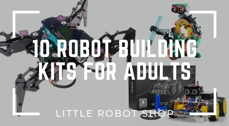 Robot Building Kits for Adults