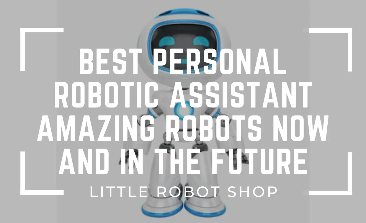 Robotic Assistant