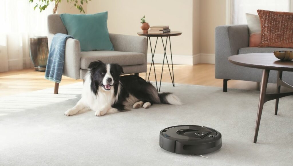 A Roomba i7 on carpet being watched by a dog.