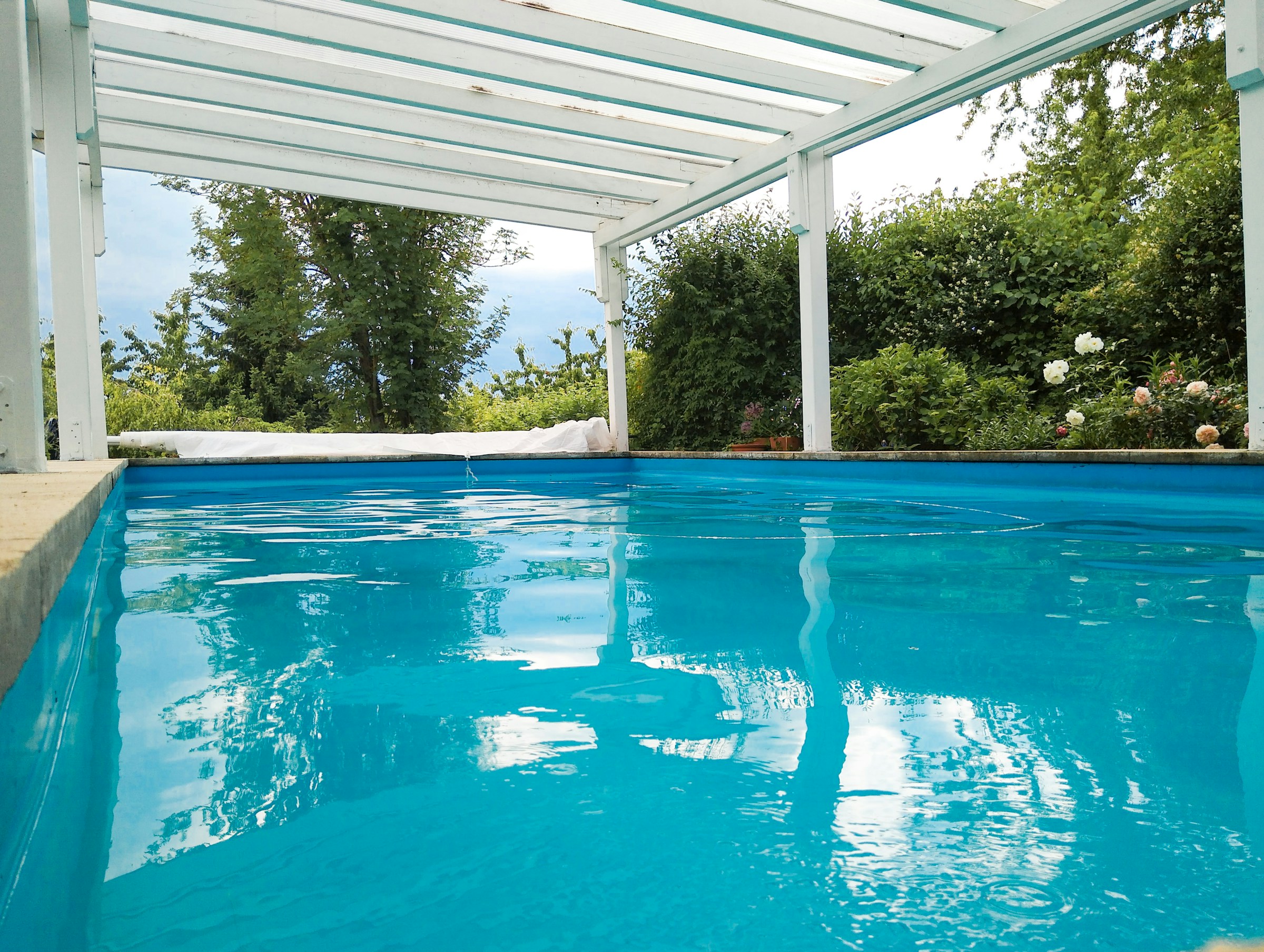 A backyard pool with a blue liner and clear water under a white pergola