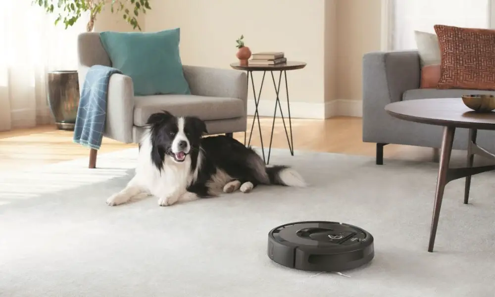 The iRobot Roomba i6+ cleaning up pet hair on carpet