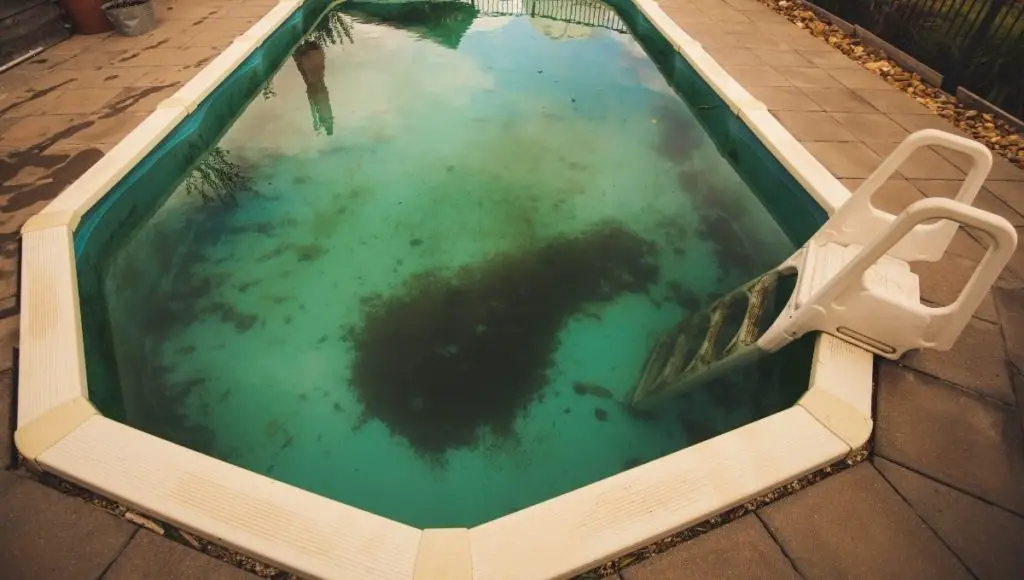 Here is an outdoor swimming pool with green algae