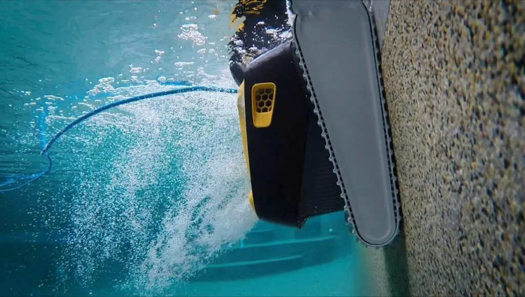 Dolphin quantum and triton fine filters are good enough to remove small debris from your pool