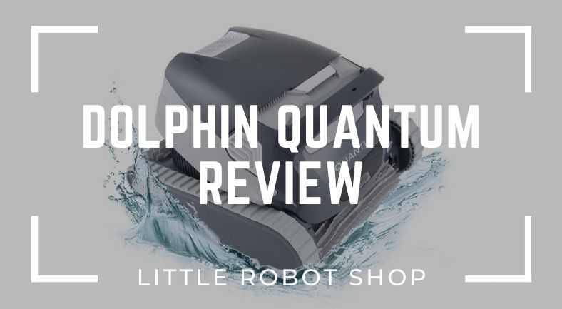 dolphin quantum review