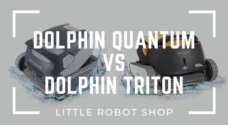 dolphin quantum vs triton review