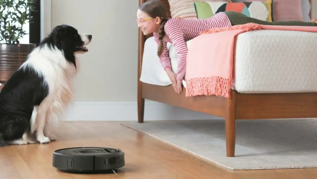 Roomba 981 and i6+ high-efficiency filter traps 99% of cat & dog allergens