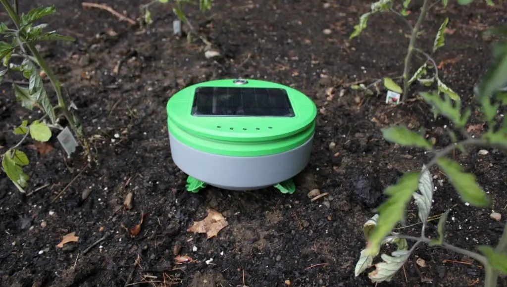Tertill garden weeding robot gives you the best performance in any weather