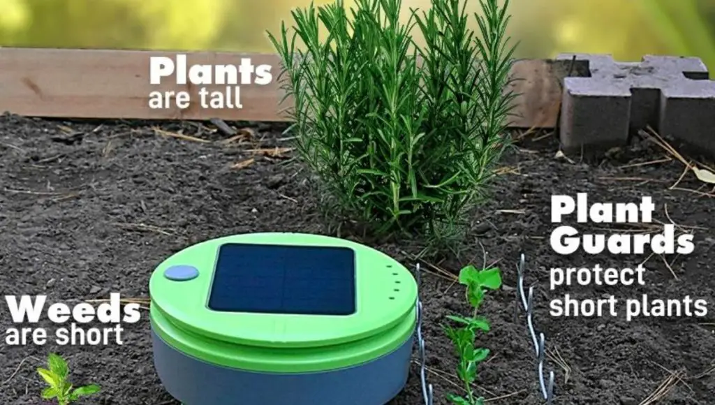 Tertill garden weeding robot can automatically detect its work area