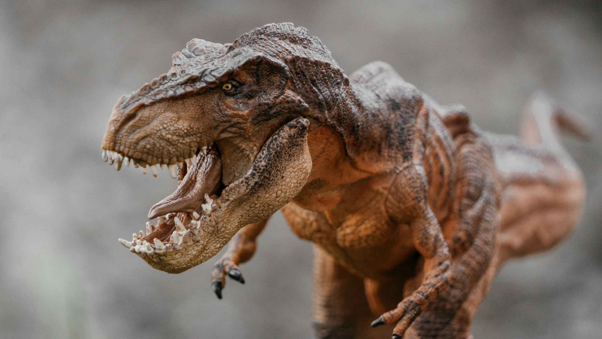 A brown toy T-Rex figure roaring with its mouth wide open