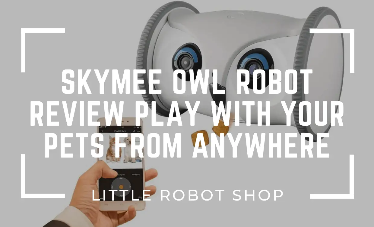 Skymee Owl Robot Review Play With Your Pets From Anywhere