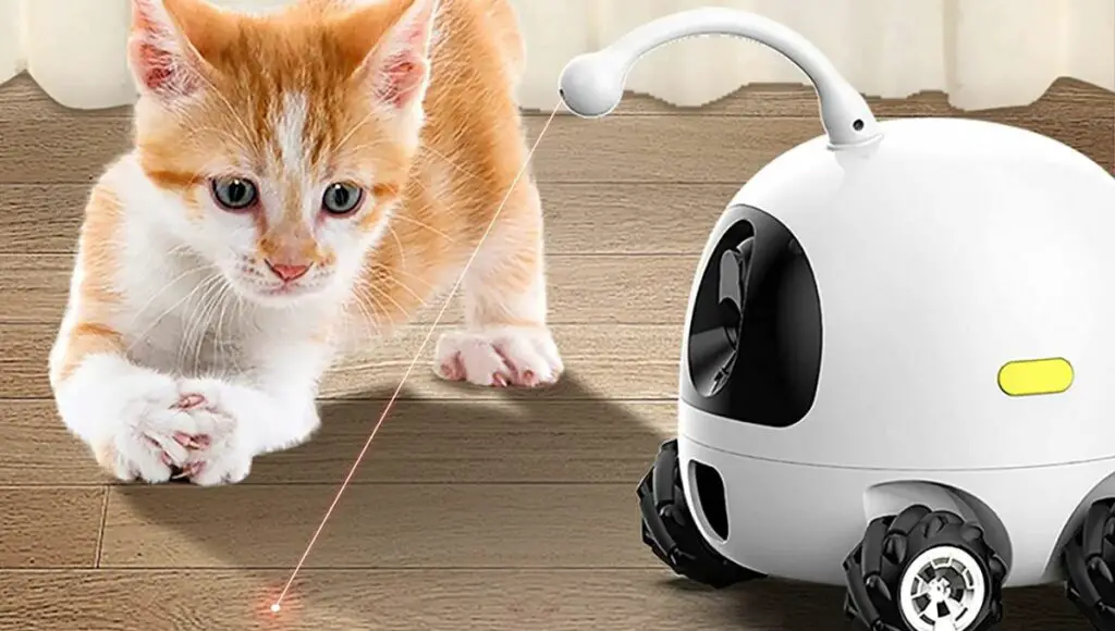 A cute baby cat play with obexx robot leaser