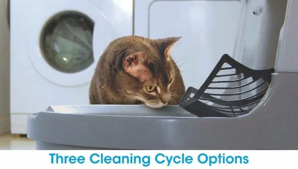 CatGenie a.i. Self-washing cat box has three cleaning cycle option