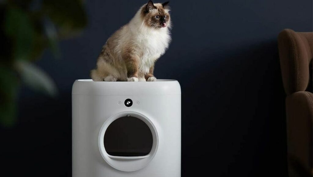 A cute cat sits upon the petkit pura x self cleaning littler box