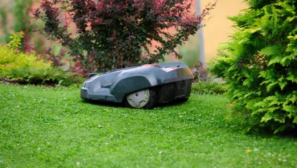 A robot lawn mower in the garden
