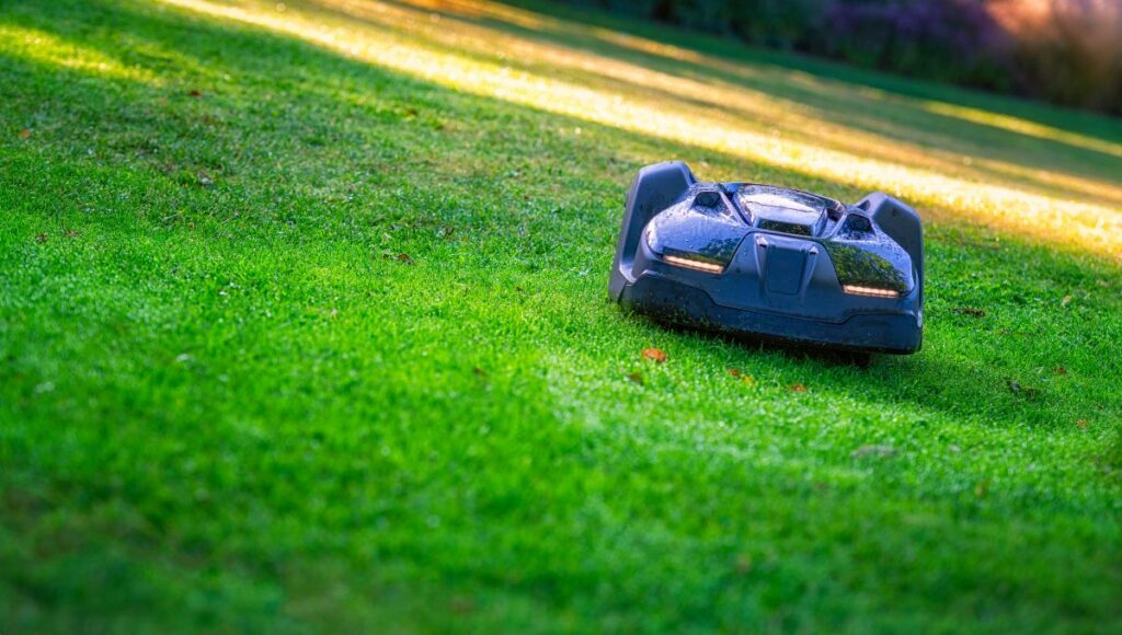 A black robotics lawn mower is automatic cutting grass on the slope of the hill