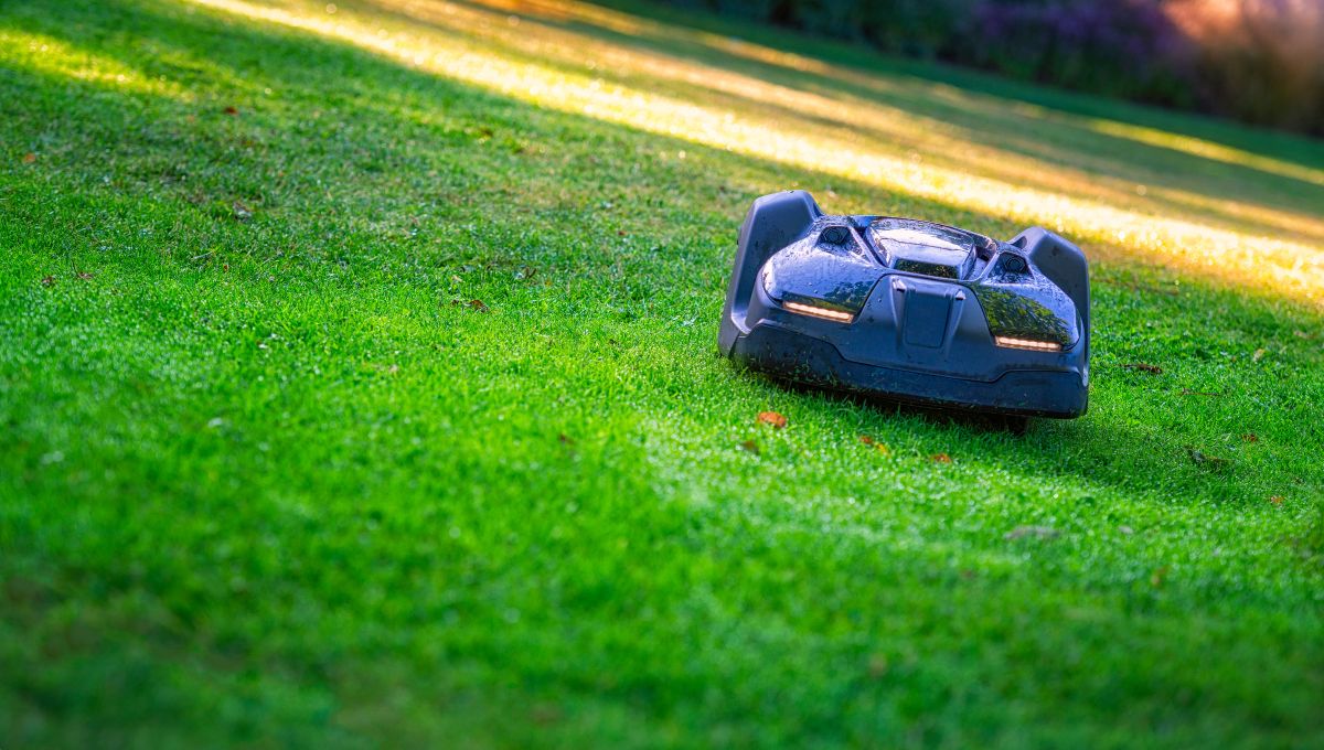 A black robotics lawn mower is automatic cutting grass on the slope of the hill