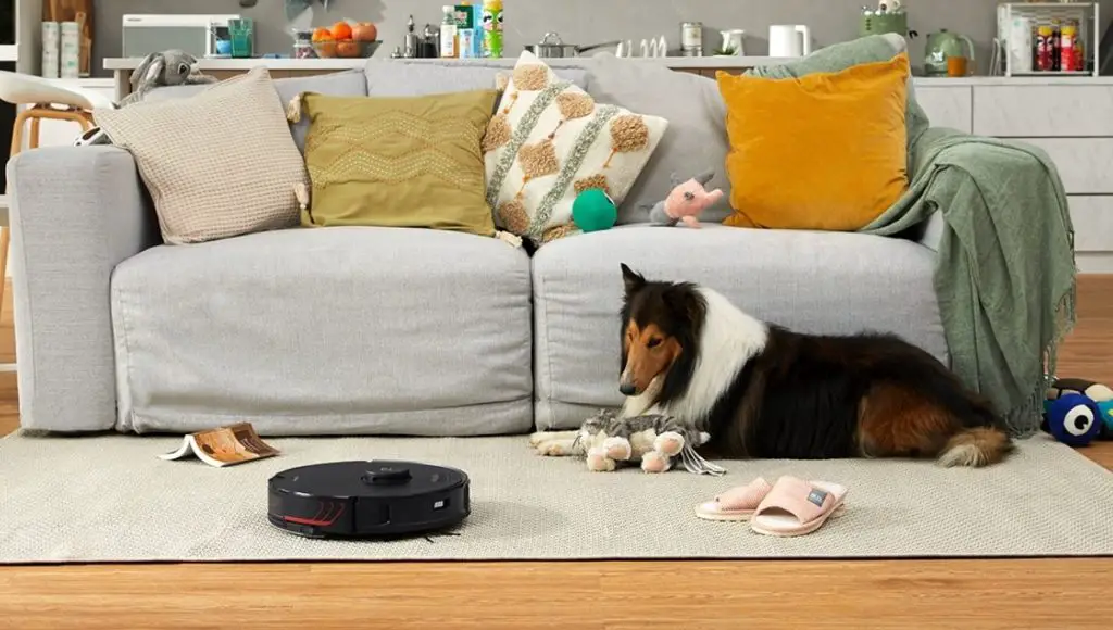 roborock s7 maxv ultra robot vacuuming on the carpet and the dog looking that