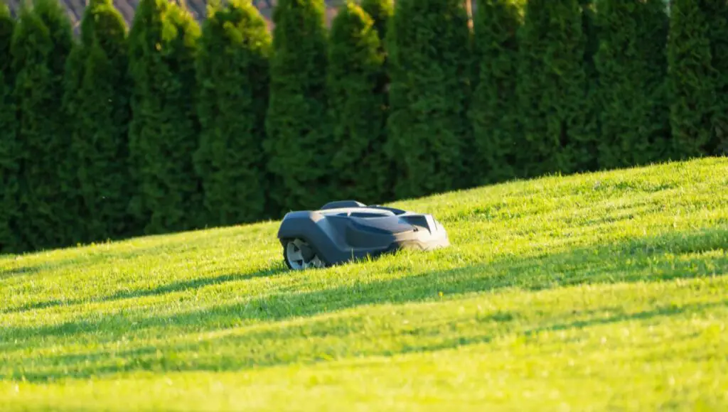 A robot lawn mower is cutting grass on the slope of the hill