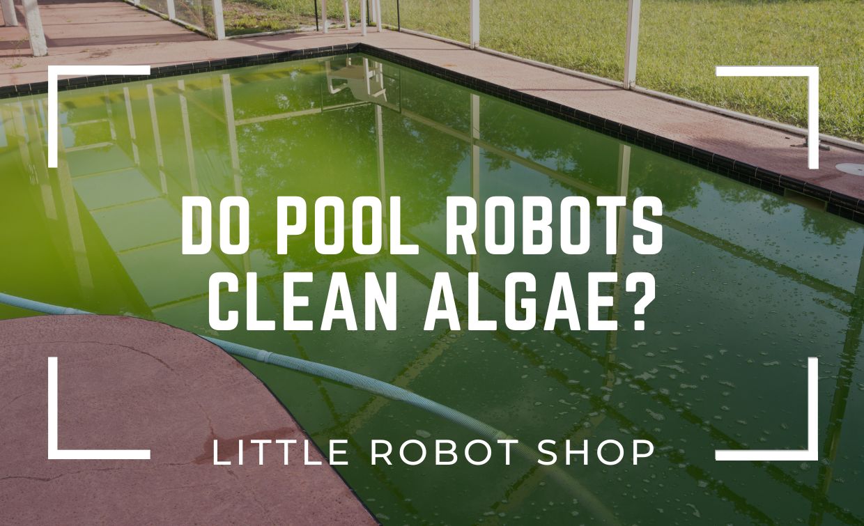 Do Pool Robots Clean Algae?