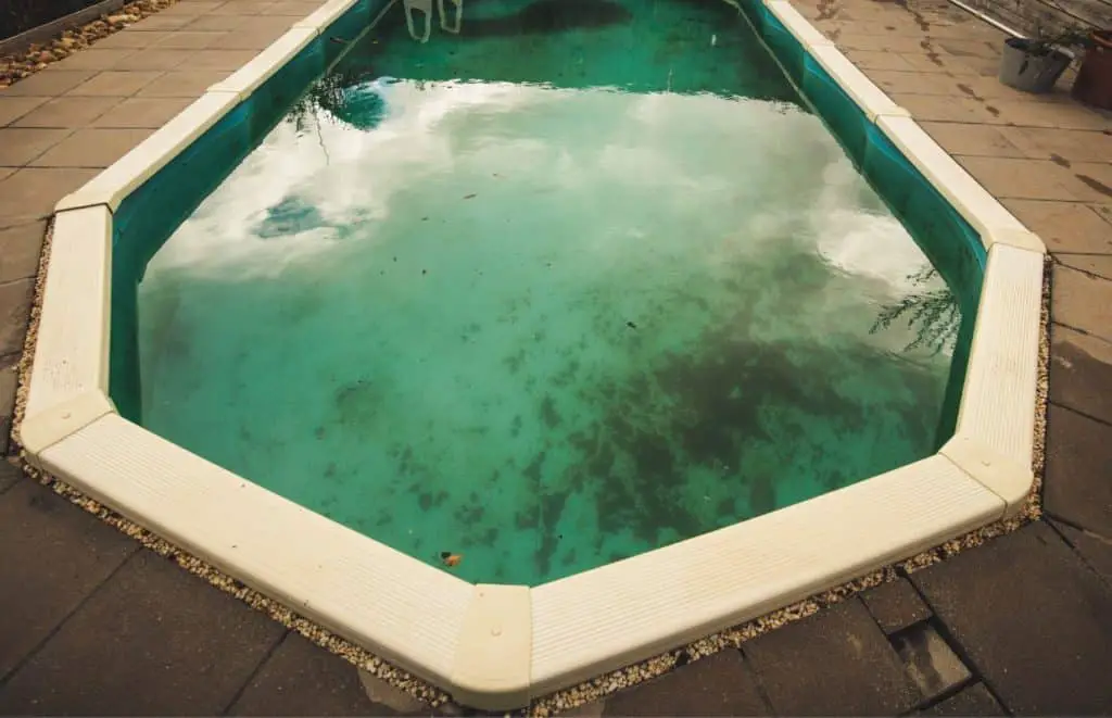 A swimming pool with lots of algae in the water